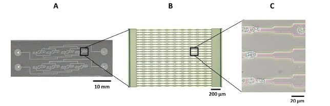 Système microfluidique
